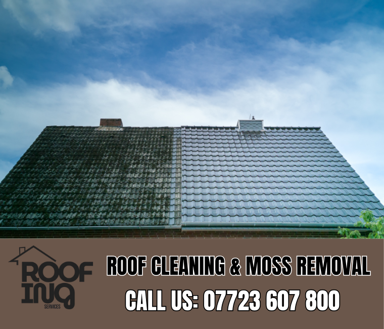 Roof cleaning and moss removal in Tintagel